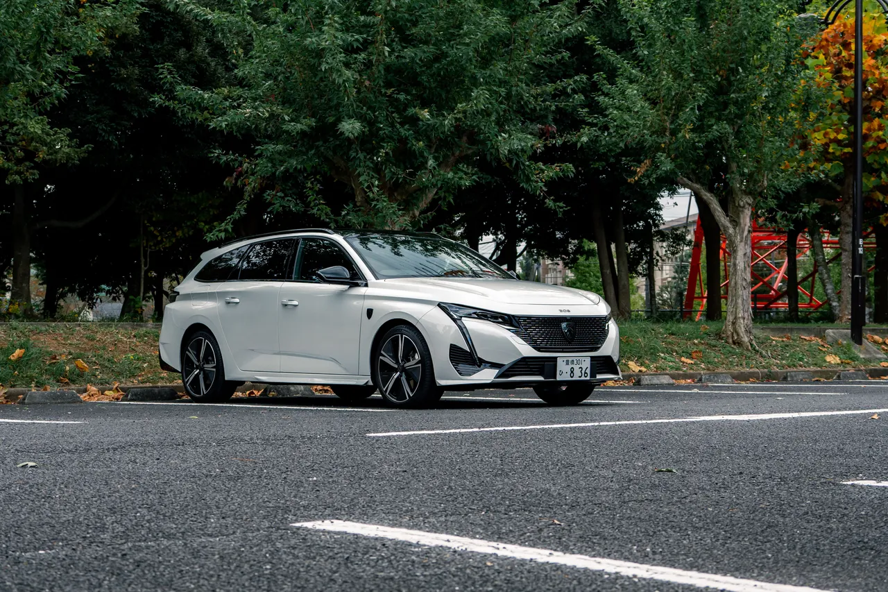 308SWの写真