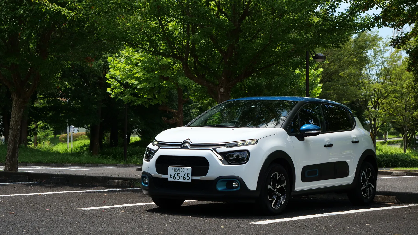 C3の写真